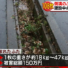 側溝フタ盗難_千葉県市原市
